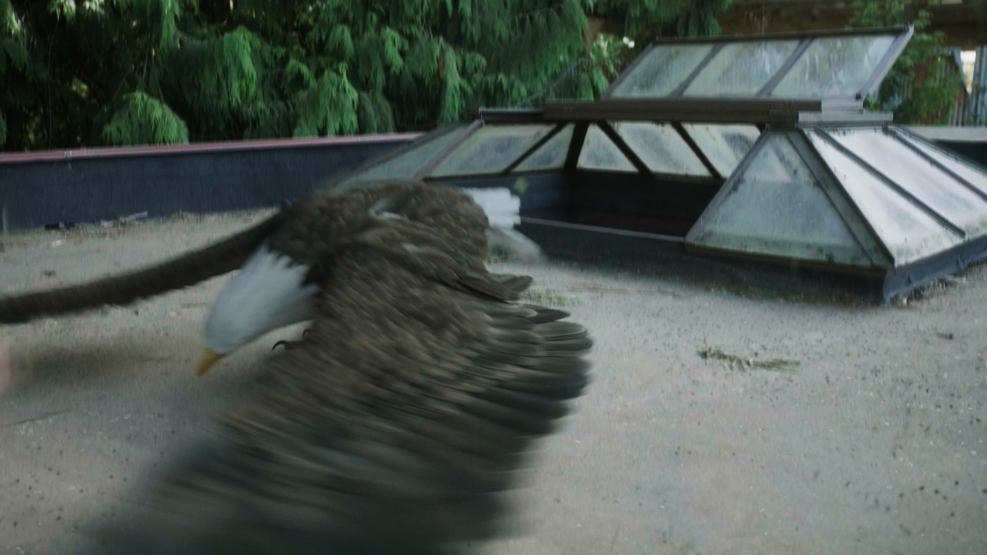 Still 2025 11 01 161911 1.6.2